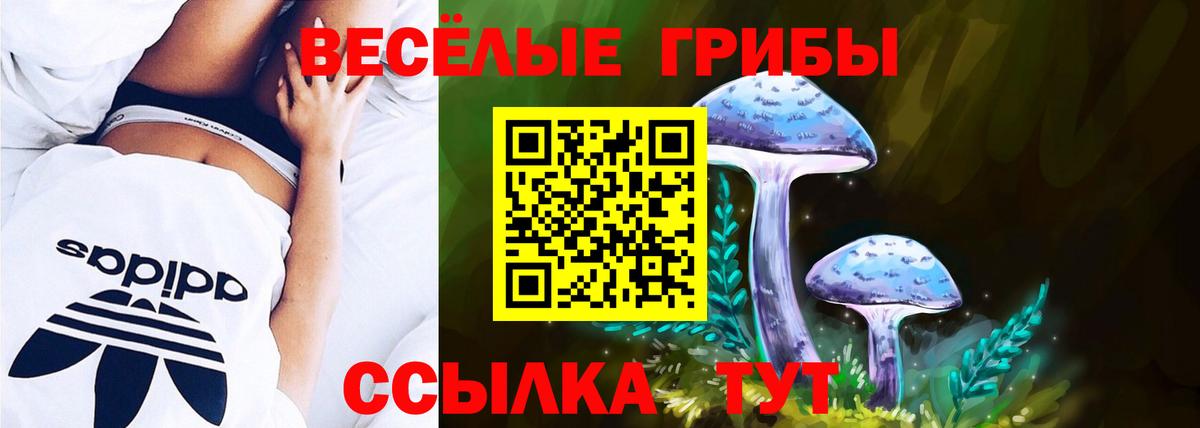 Псилоцибиновые грибы MAGIC MUSHROOMS  Вход с VPN  Галлюциногенные грибы Psilocybine cubensis  Гусев 